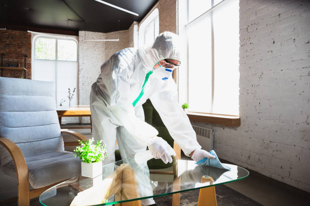 Biohazard Mold Removal in Cedarburg, WI